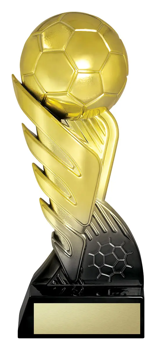 Pegasus Gold Black - Football 1