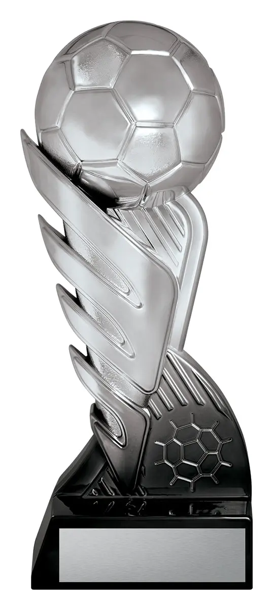 Pegasus Silver Black - Football 1