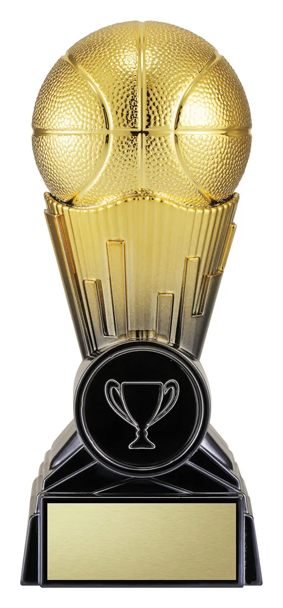 Mercury Black/Gold  Basketball 1