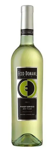 Ecco Domani Pinot Grigio 750Ml 1