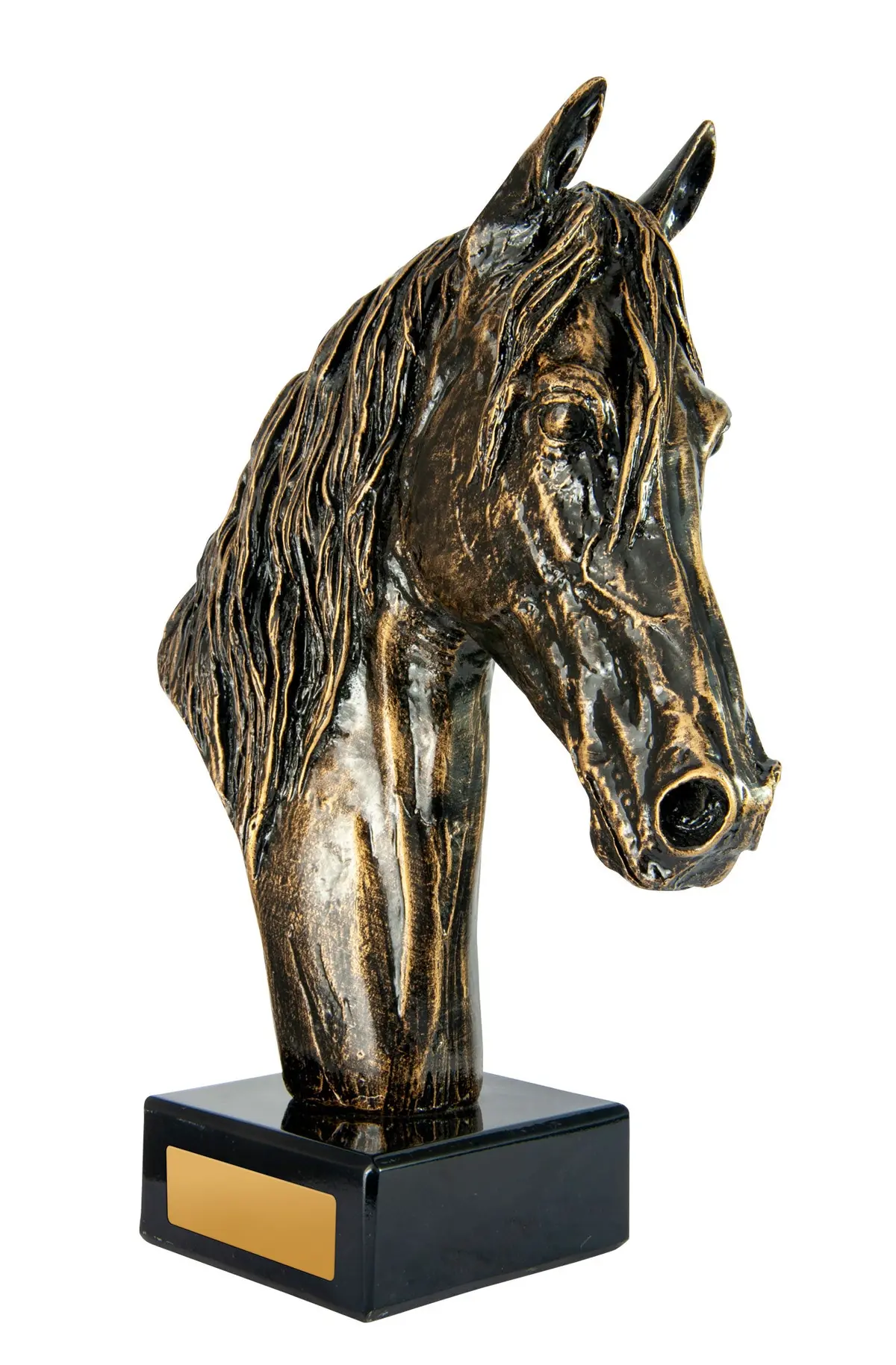Horse Bust 300Mm 1