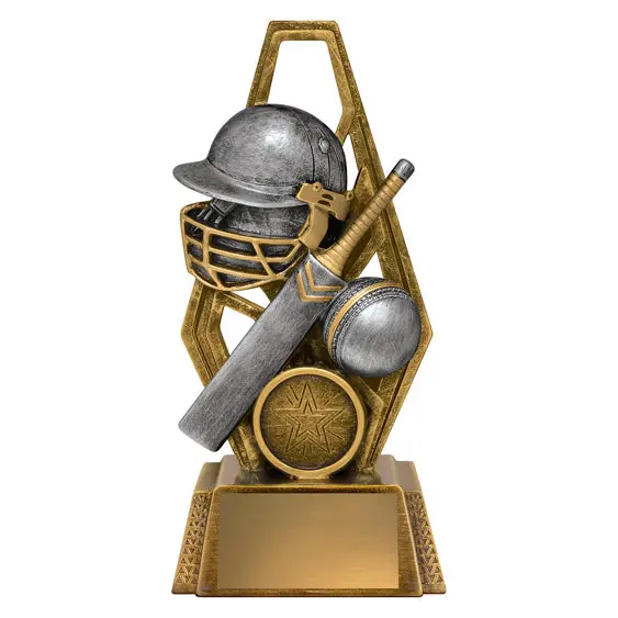 Cyber Series - Cricket 1