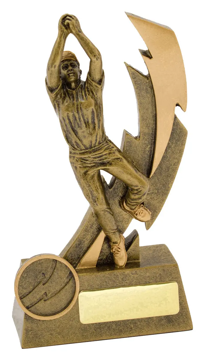 Shazam Series - Cricket Fielder 2