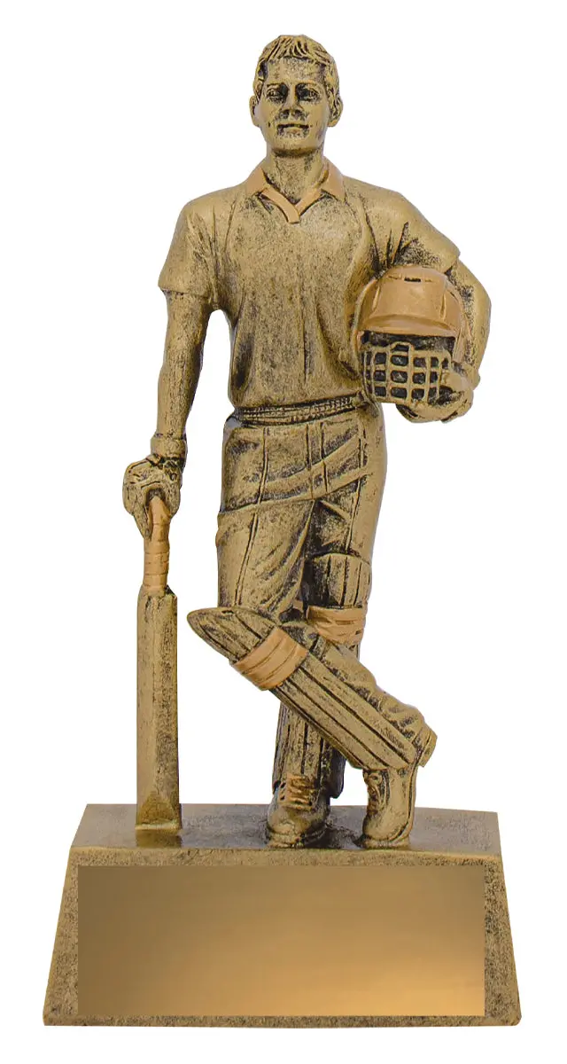 Hero Series - Cricket Batsman 1