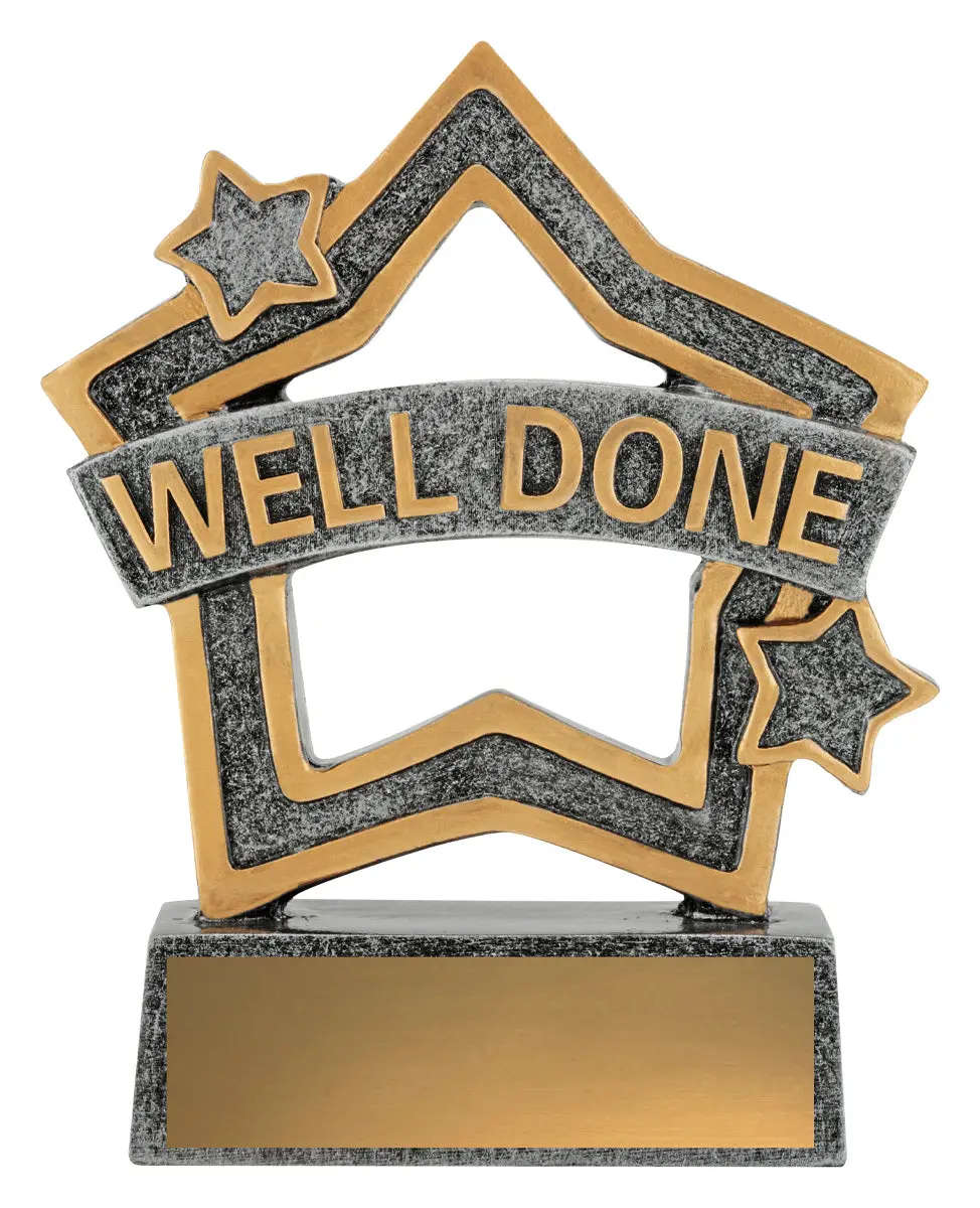 Rally Mini Star Series - Well Done 1
