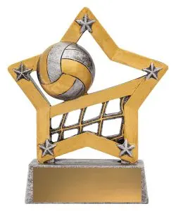 Mini Star Volleyball 1