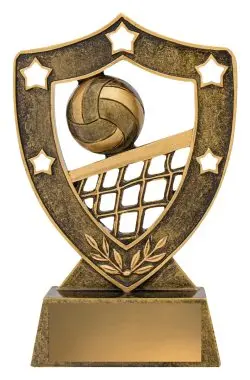 Volleyball Shield 1