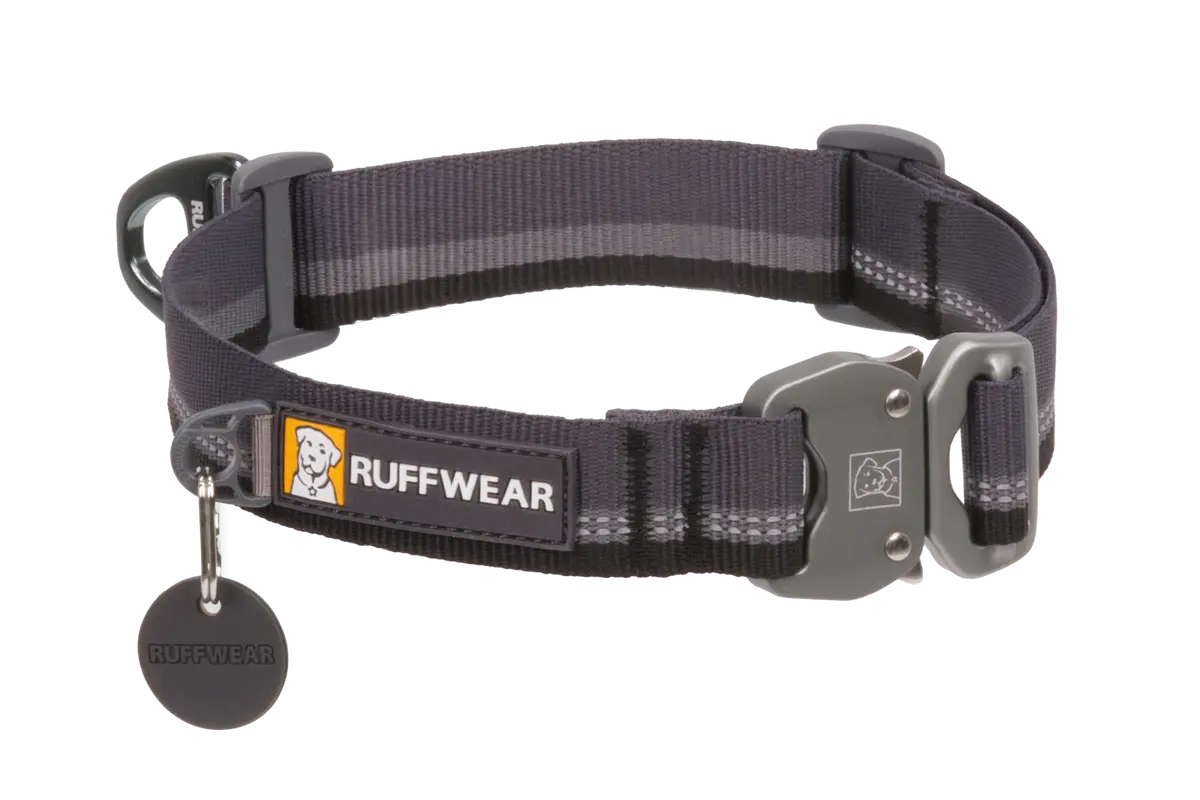 Top Rope™ Metal Buckle Dog Collar 1