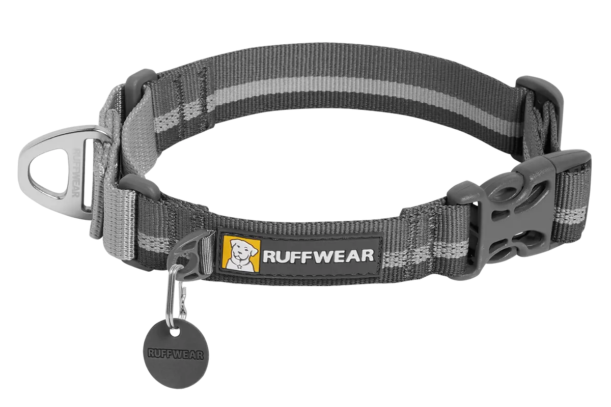 Web Reaction™ Martingale Dog Collar With Buckle 1