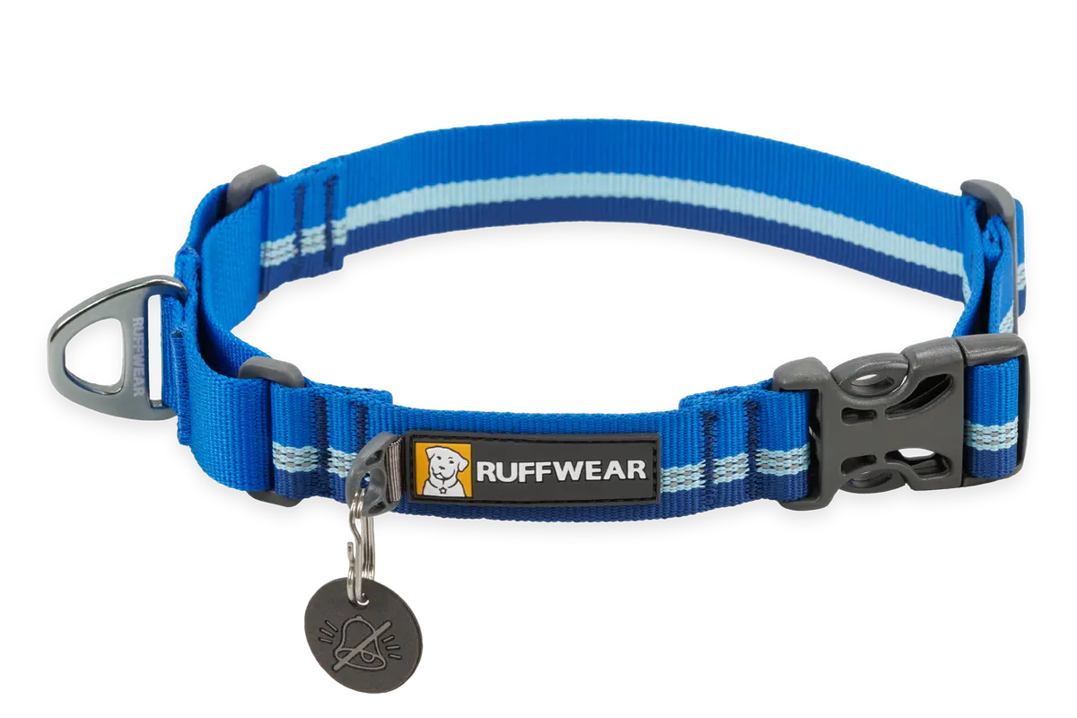 Web Reaction™ Martingale Dog Collar With Buckle 3