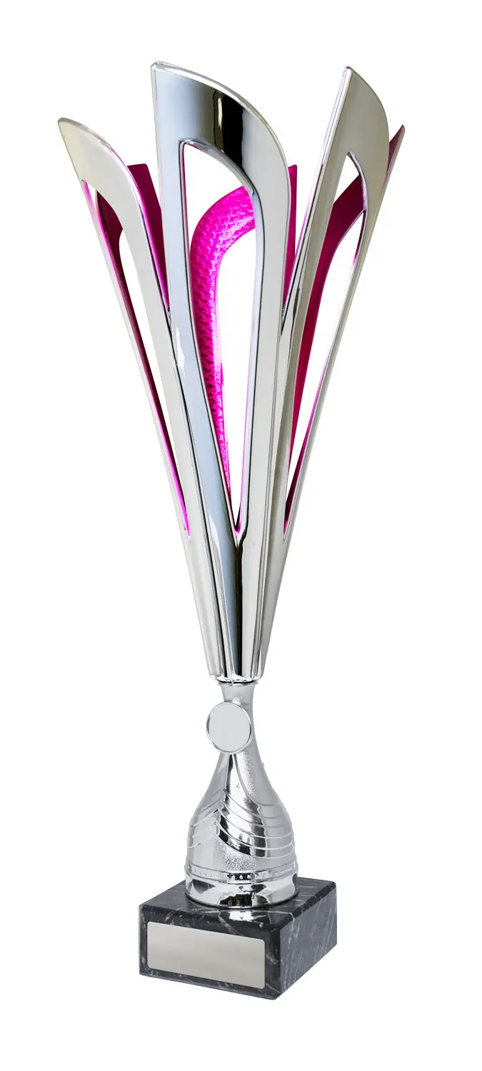 Mayflower Cups - Silver 1