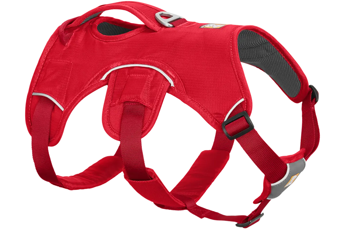 Used - Web Master™ Dog Harness With Handle 1