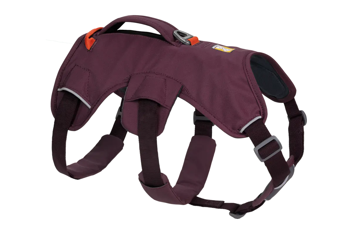 Web Master™ Dog Harness 1