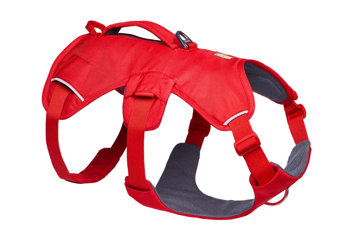 Used - Web Master™ Dog Harness With Handle 62