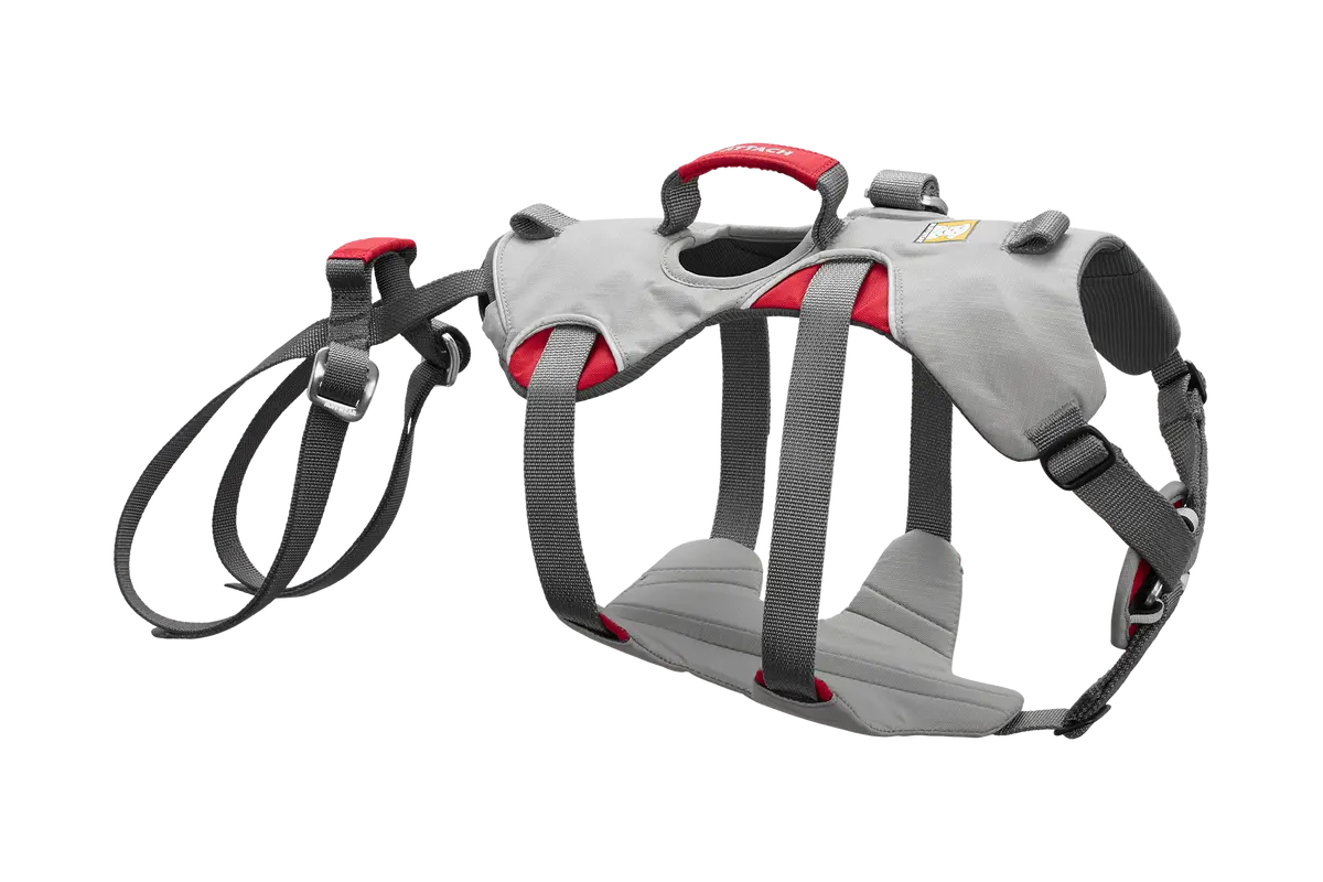 Doubleback™ Full Body Dog Harness 1