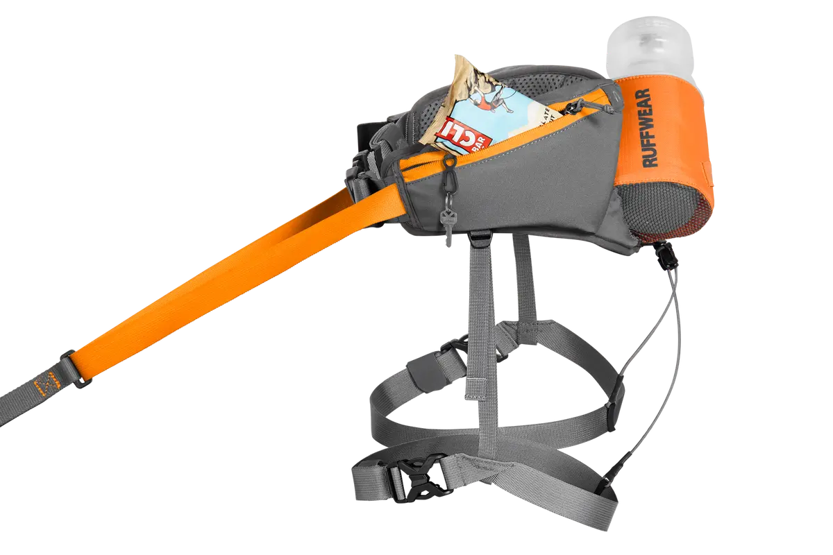 Omnijore™ Dog Joring System 1