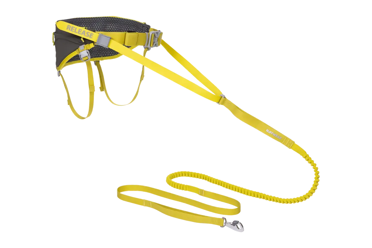 Omnijore™ Dog Joring System 1