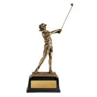 The Pro Series - Swing 4