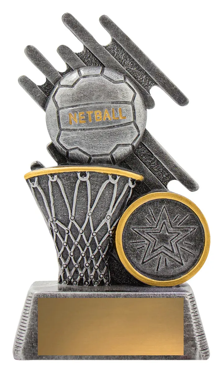 Zoom Series Theme - Netball 1