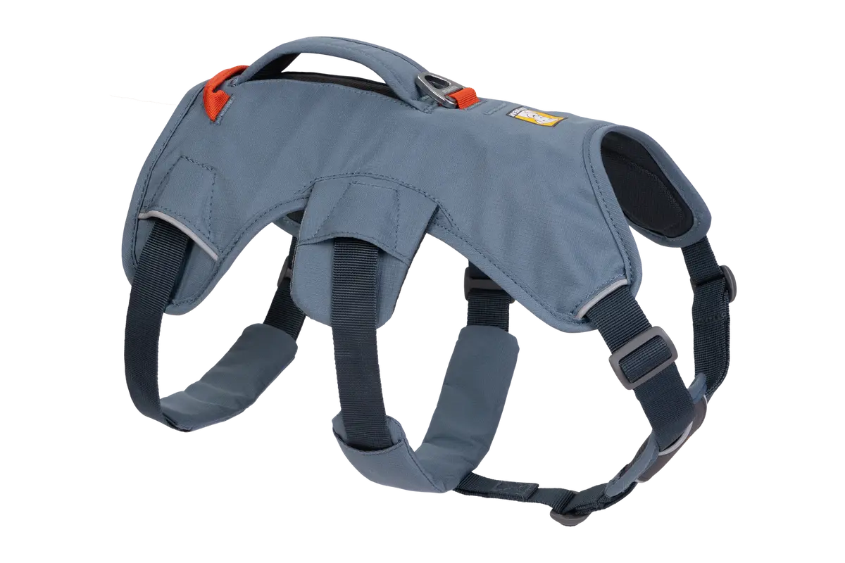 Used - Web Master™ Dog Harness With Handle 1