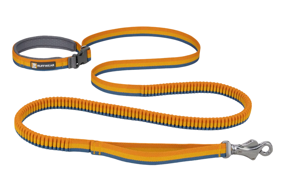 Roamer™ Bungee Dog Leash 3