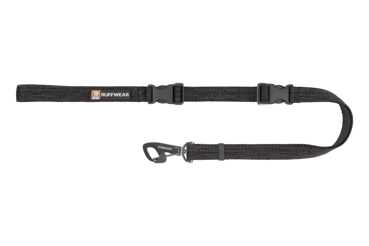 Guide Dog Leash 1