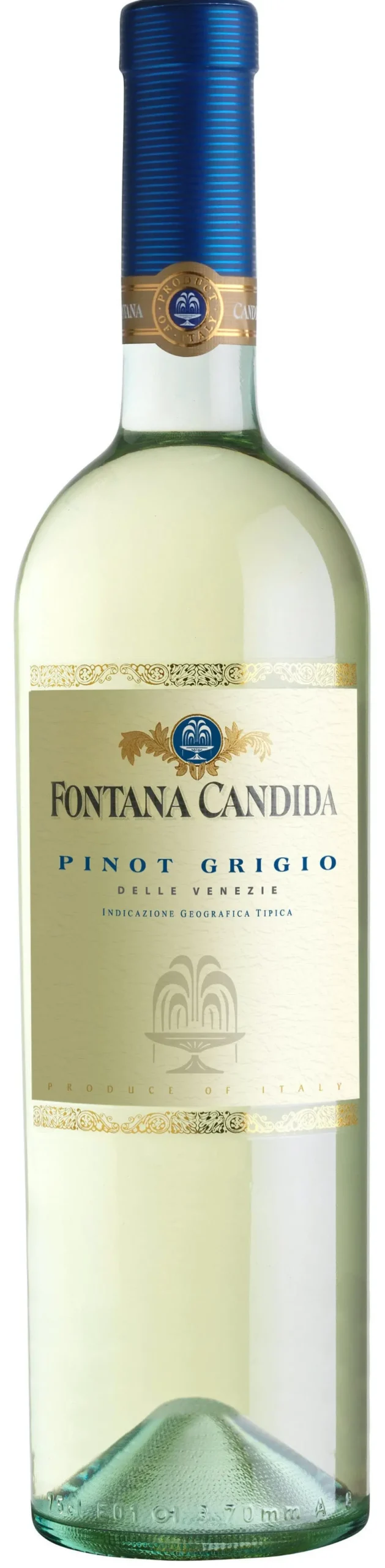 Fontana Candida Pinot Grigio 750Ml 1