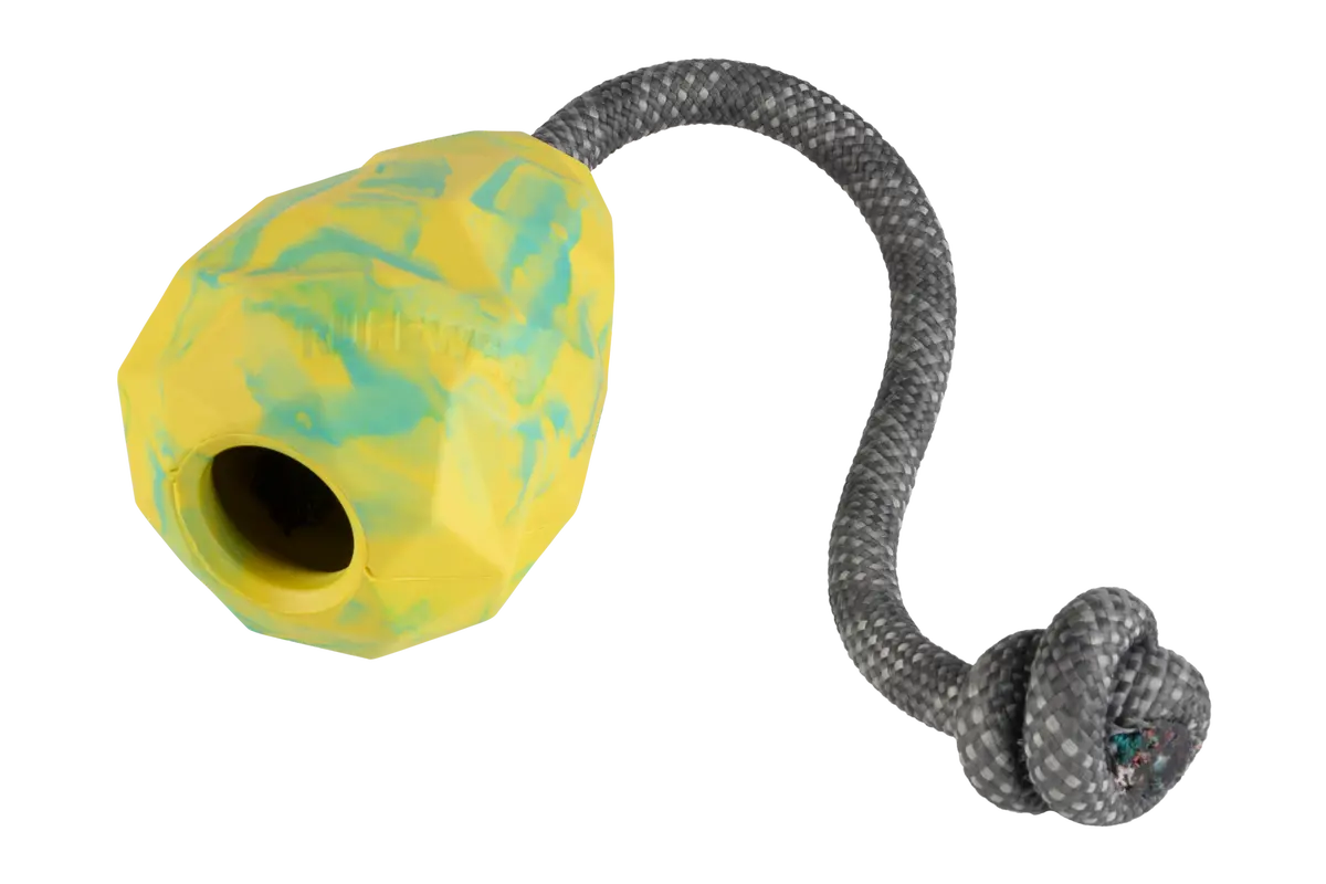 Huck-A-Cone™ Interactive Toy 1