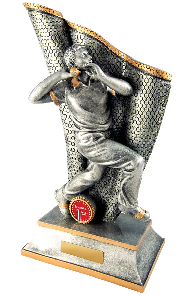 Wave Series - Cricket Bowler 1