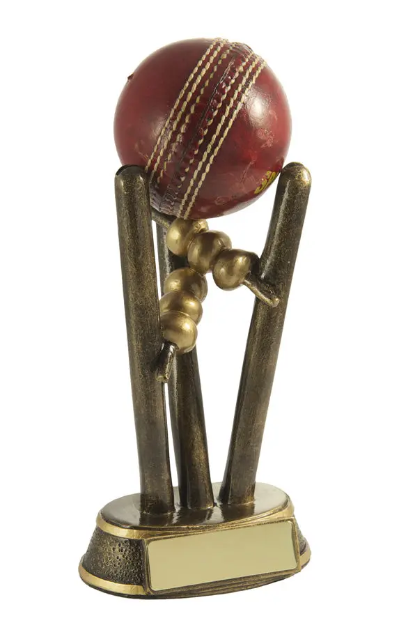 Cricket Ball Holder - Resin 1