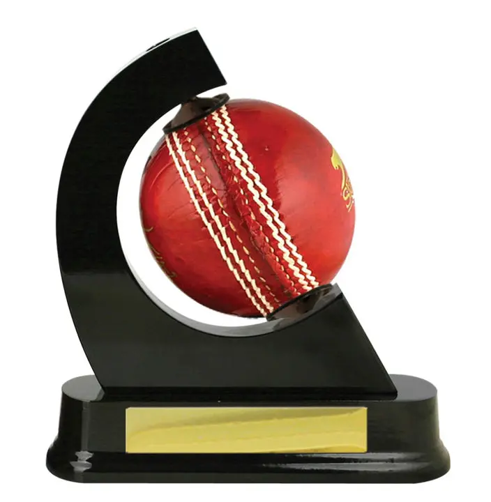 Cricket Ball Holder - Timber 1
