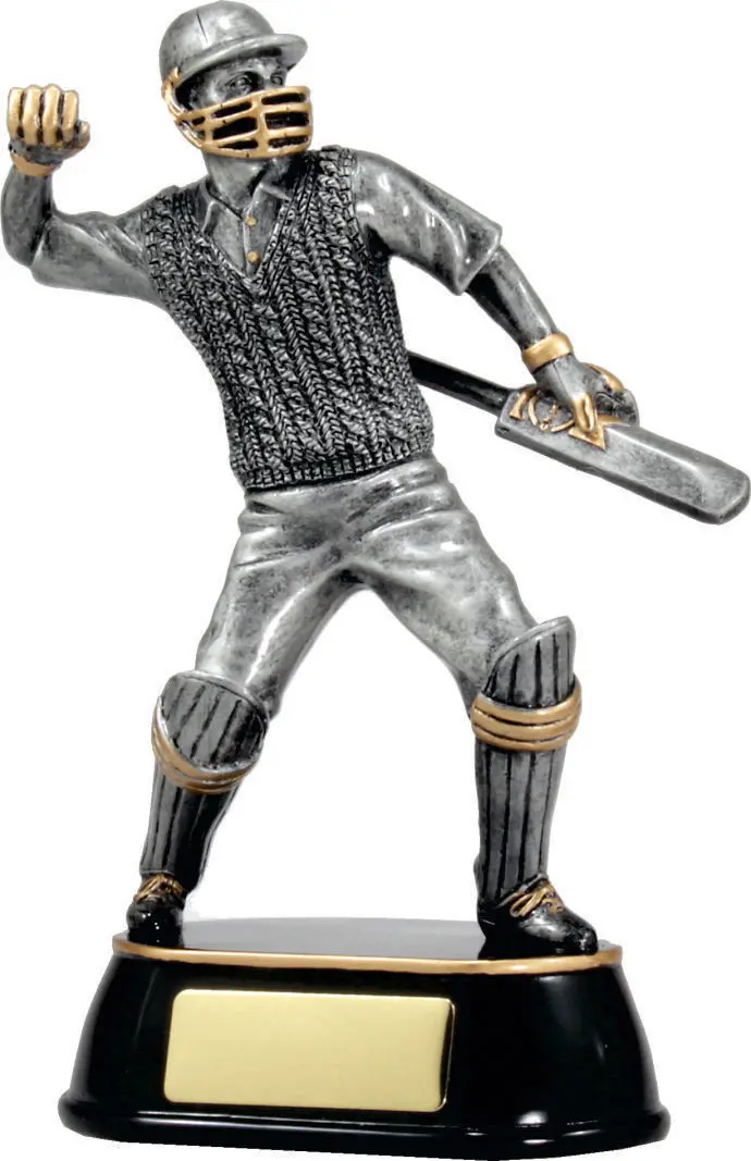 Cricket Celebration Series 1