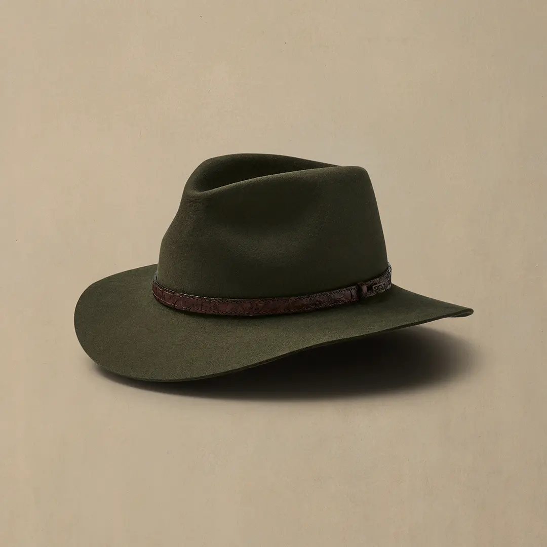 Banjo Paterson Fern 1