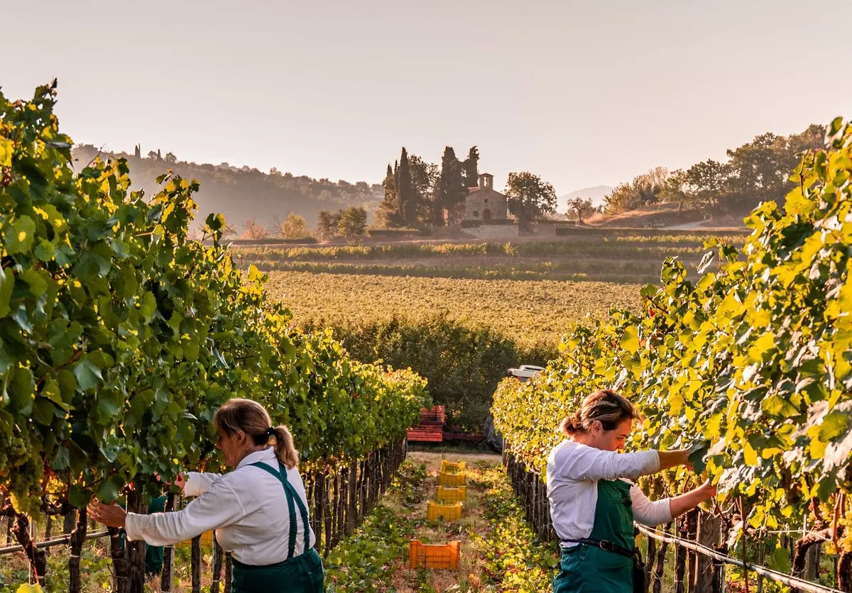 Marchesi Antinori X Celestino Dinner 11/7/2025 1