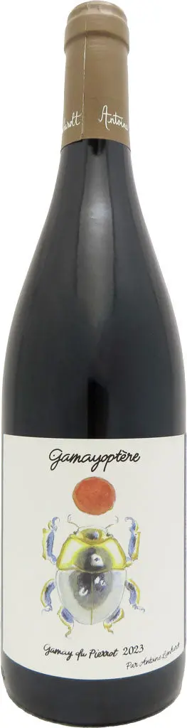 Antoine Lienhardt Gamayoptere Gamay Du Pierrot 2023 750Ml 1