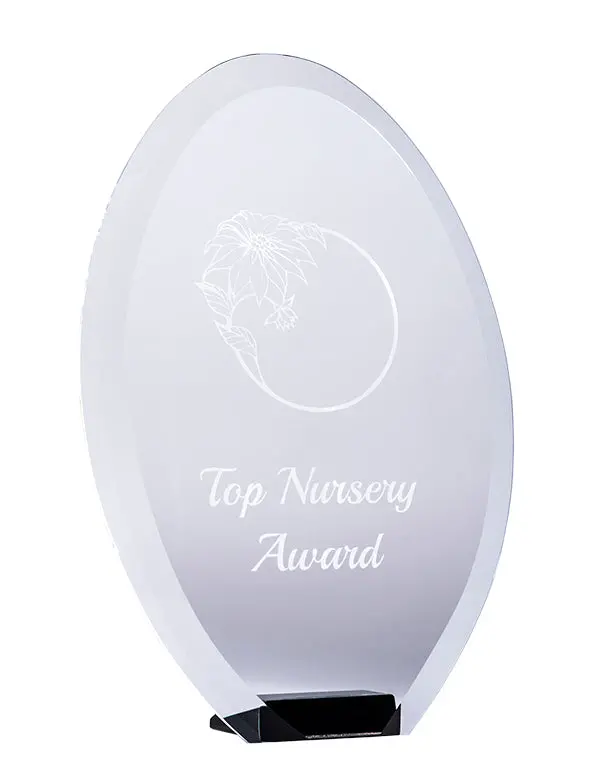 Bevelled Beauty Glass - Oval 1