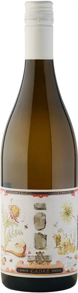 Cadre Band Of Stones Gruner Veltliner 2024 750Ml 1