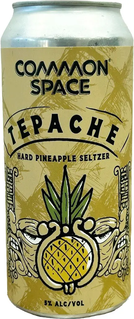 Common Space Tepache Hard Pineapple Seltzer 16Oz Can 1