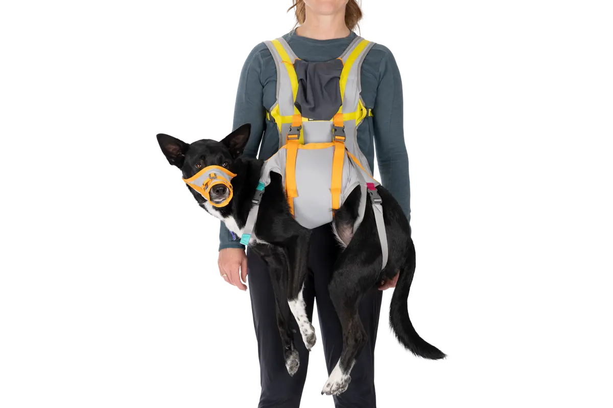 Backtrak™ Dog Evacuation Kit 1