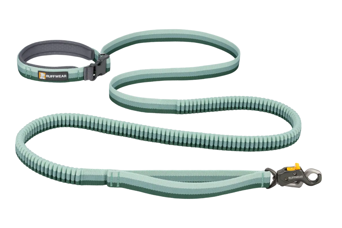 Roamer Lock™  Leash 1