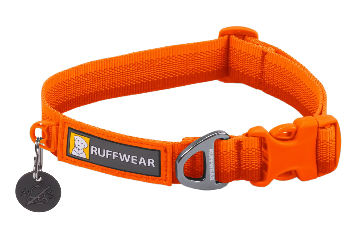 Used - Front Range™ Dog Collar 2