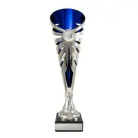 Aura Cup - Silver 1