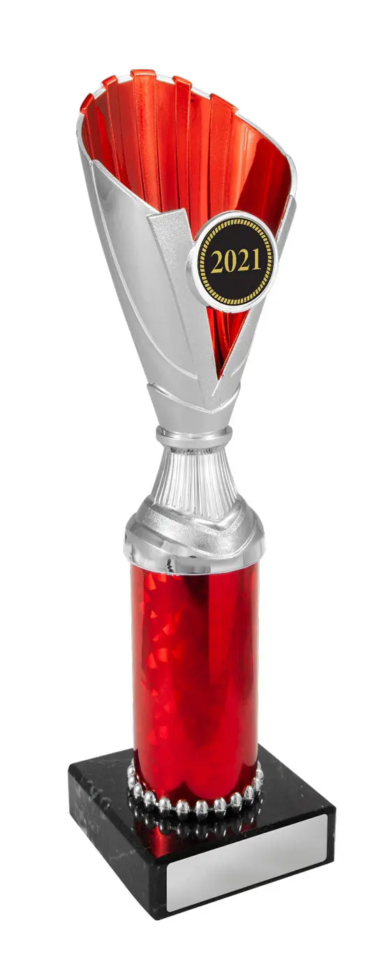 Norwood Cups - Silver 1