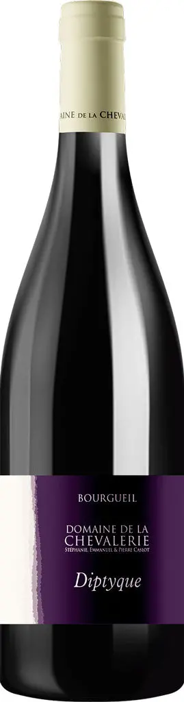 Domaine De La Chevalerie Bourgueil Diptyque 2020 750Ml 1