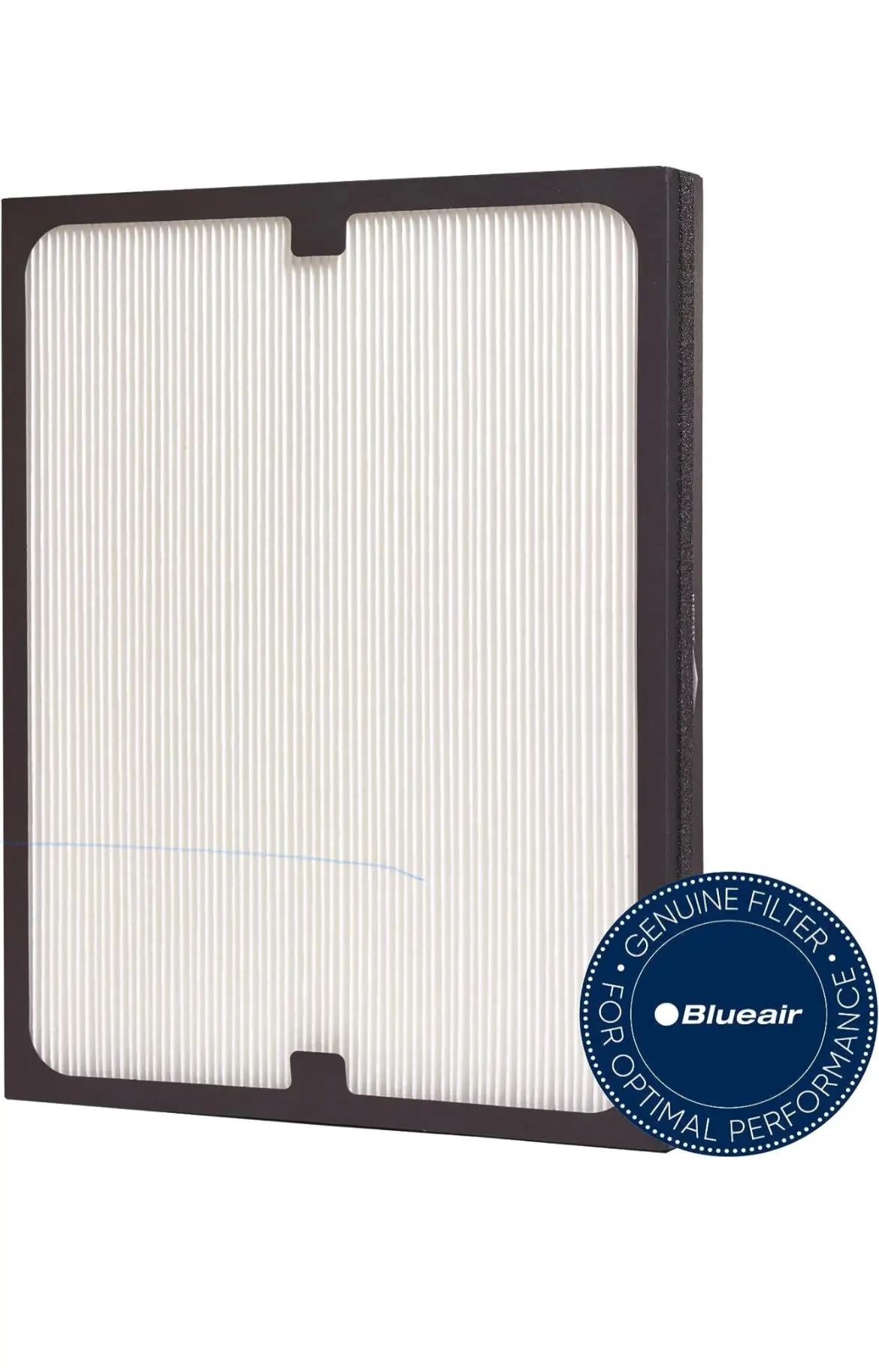 Blue Air Partial Filter 1