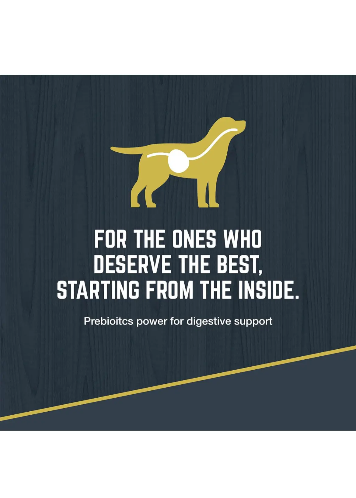 Dry Dog Food For Adult Dogs 1