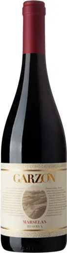 Garzon Marselan Reserva 2021 750Ml 1