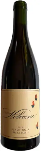 Holocene Memorialis Pinot Noir Yamhill-Carlton 2023 750Ml 1