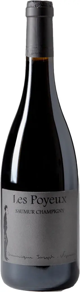 Le Petit St. Vincent Les Poyeux Saumur Champigny 2020 750Ml 1