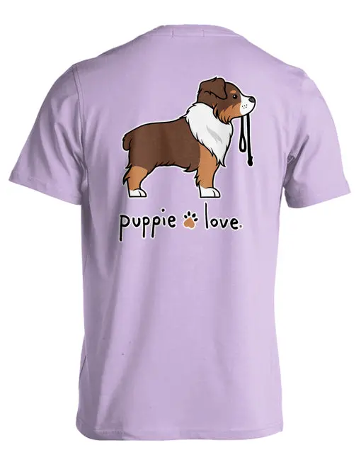 Australian Shepherd Pup (Red & White) 1